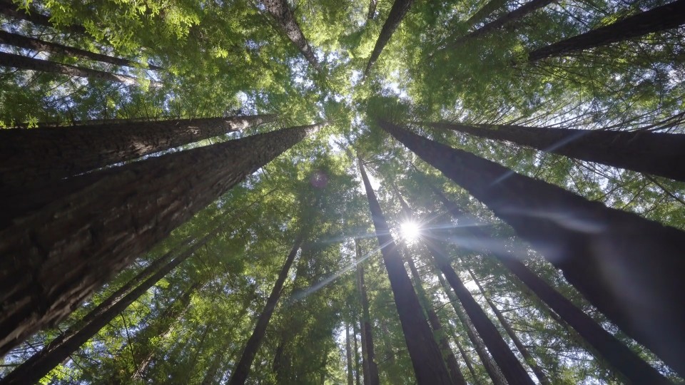 AdobeStock_405645877-960x540